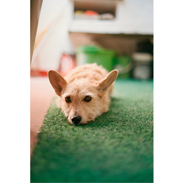 Película - 1Hundred 100 36 Exp.