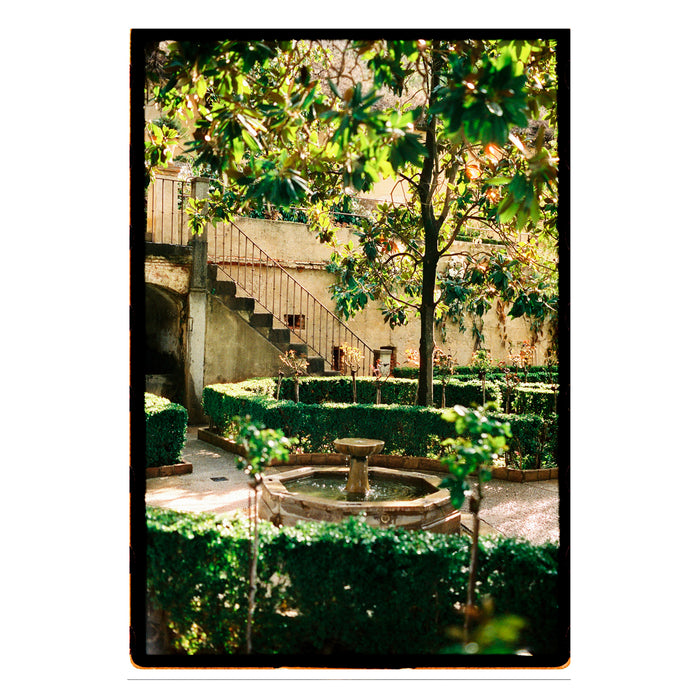 Película - 8Hundred 800 36 Exp.