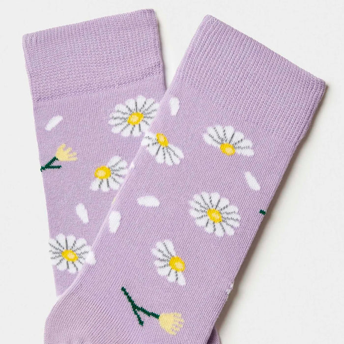 Calcetines Besocks - BeDaisy Purple 🌼