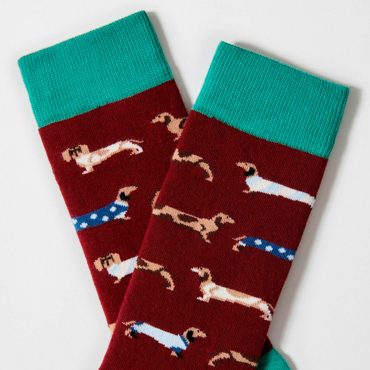 Calcetines Besocks - BePets Burgundy 🐶🌭