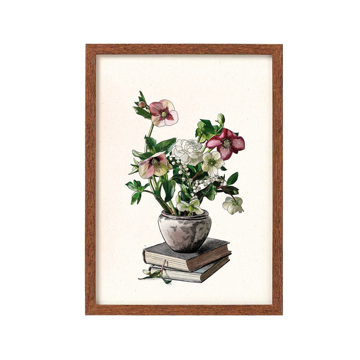 Print de Laura Agustí A3 - "Botanical Study"