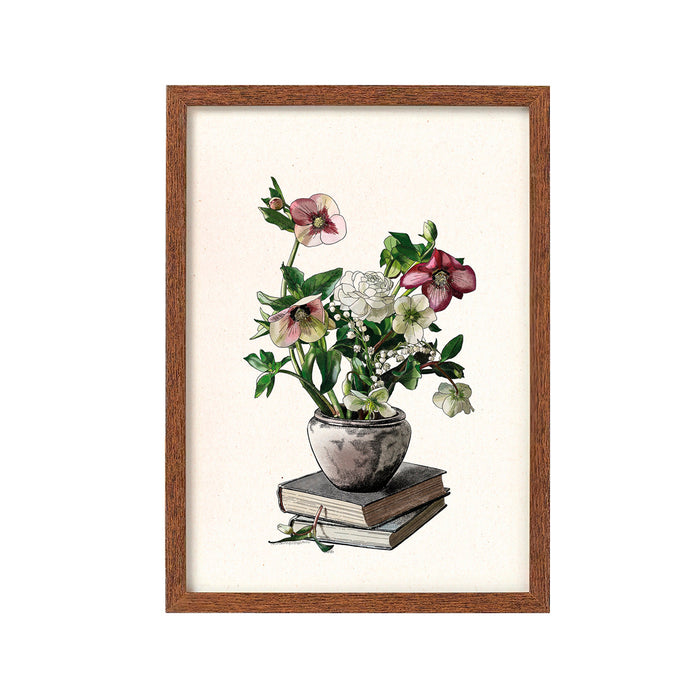 Print de Laura Agustí A4 - "Botanical Study"