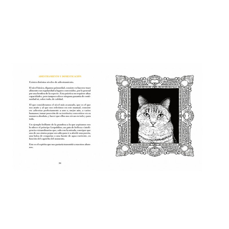Libro - "Cómo domesticar a un humano" de Babas