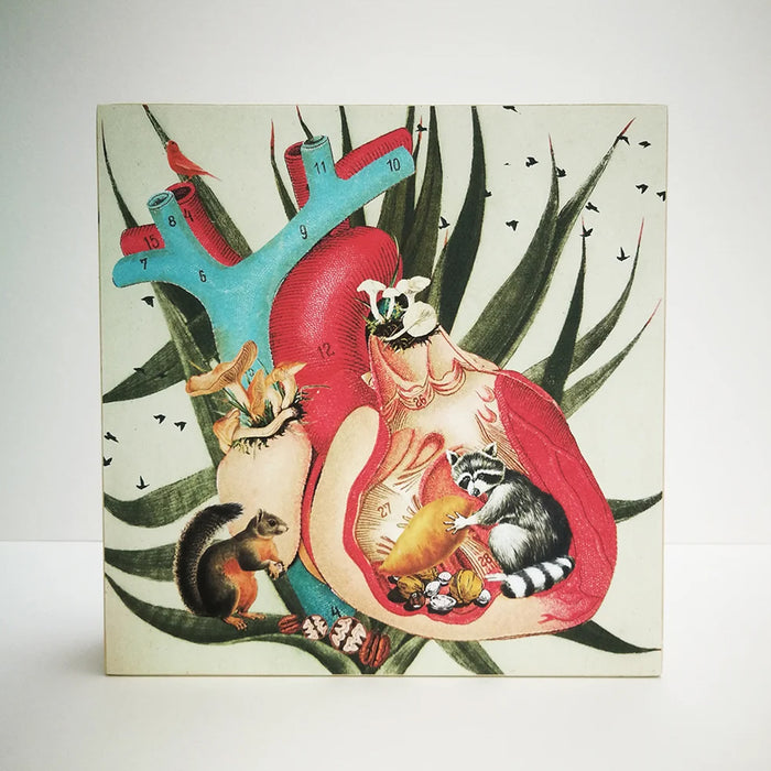 Caja de luz - "Corazón Mapache" de El Lucernario