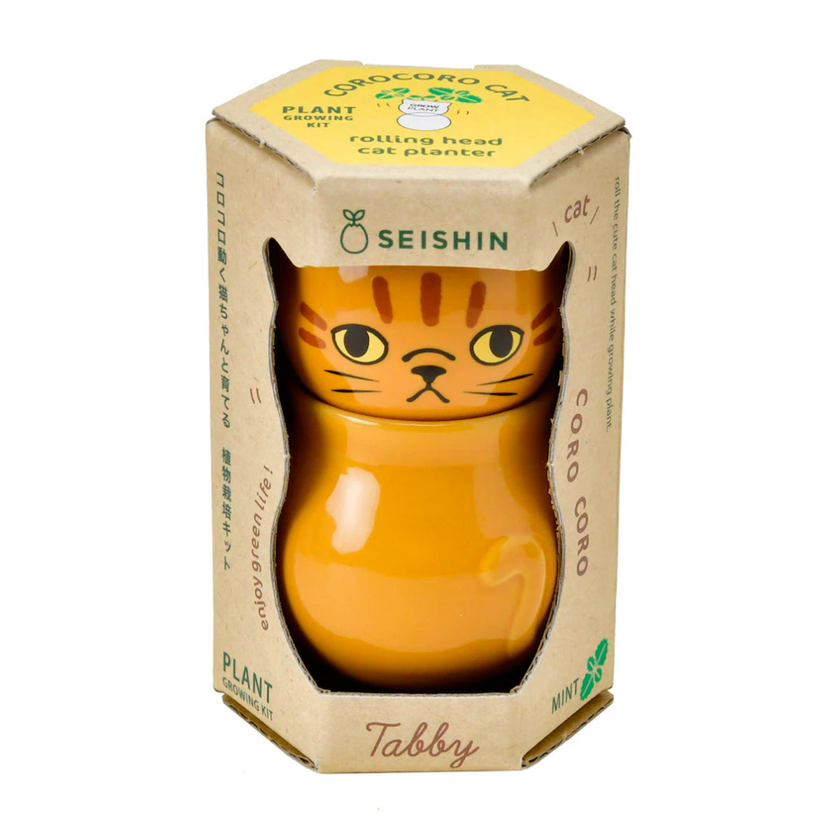 Semillero - Corocoro Cats 🐱🌱