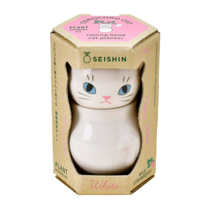 Semillero - Corocoro Cats 🐱🌱