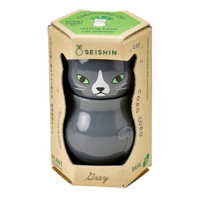 Semillero - Corocoro Cats 🐱🌱