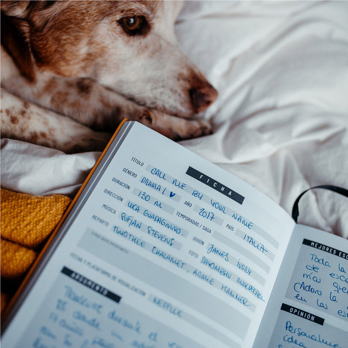 Cuaderno de pelis y series