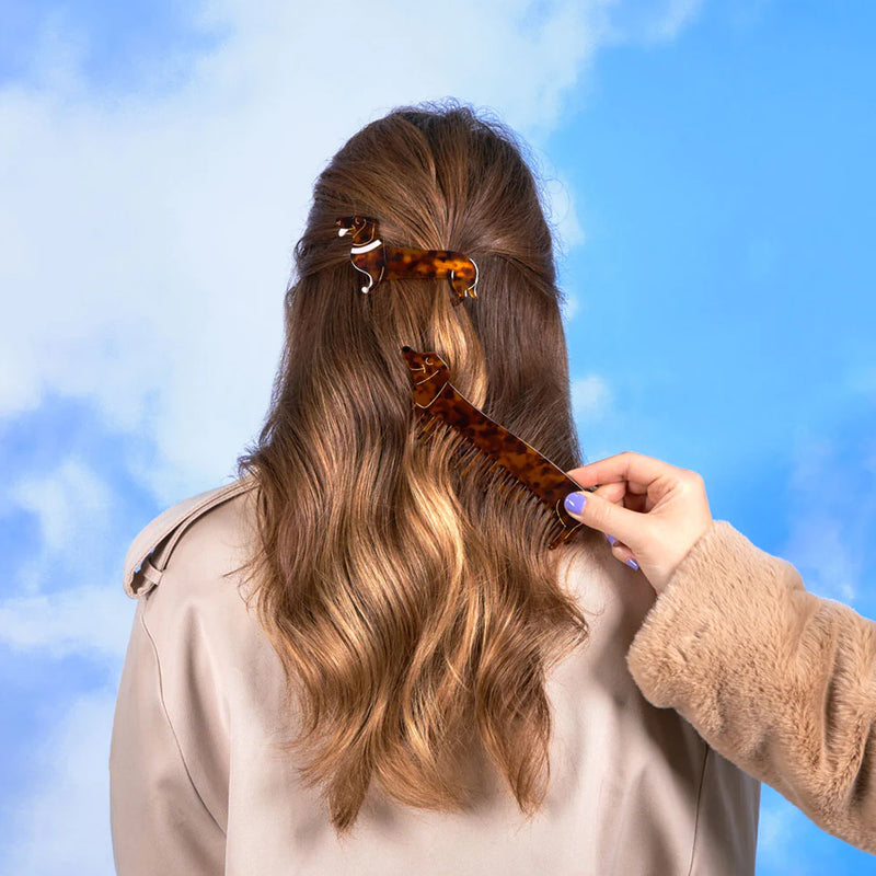 Peine - Perro Salchicha