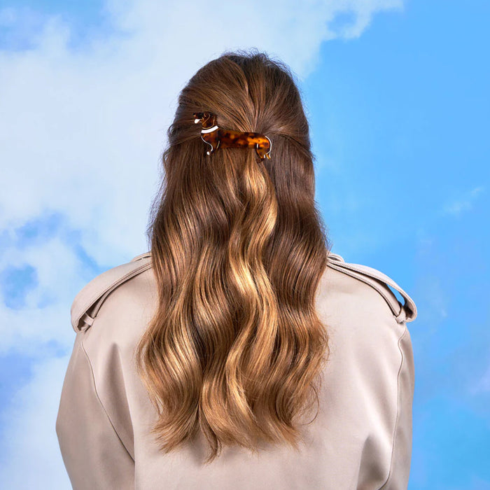 Pasador de pelo grande - Perro Salchicha