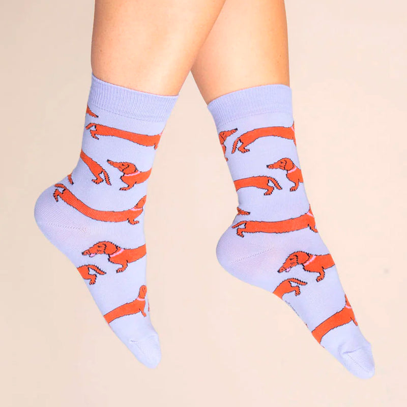Calcetines - Perro salchicha