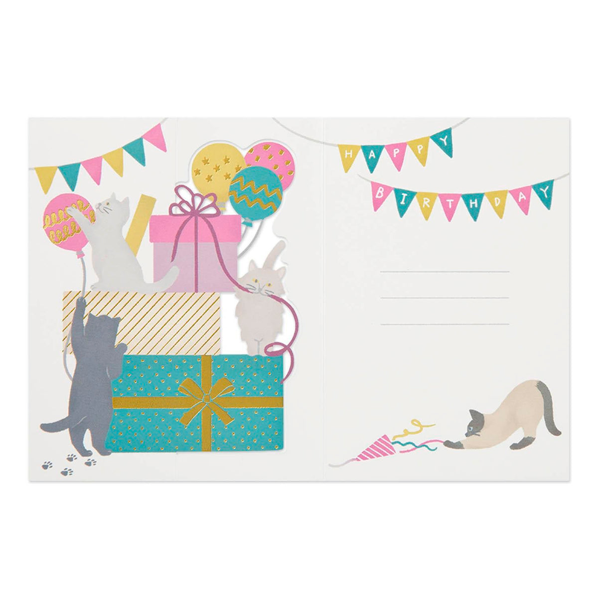 Postal 3D Midori - Birthday Present 🎁🐱