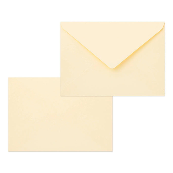 Postal 3D Midori - Wildflower 🌼