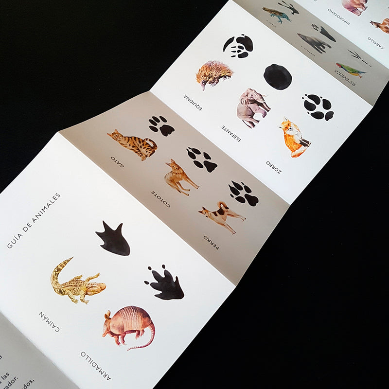 Juego de memoria - "Descubre la huella" 🐾