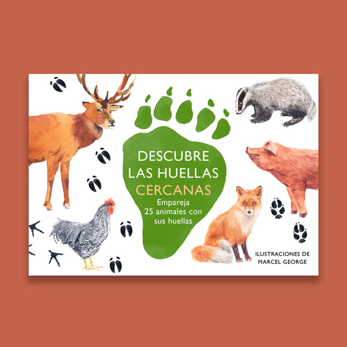 Juego de memoria - "Descubre las huellas cercanas" 🐾