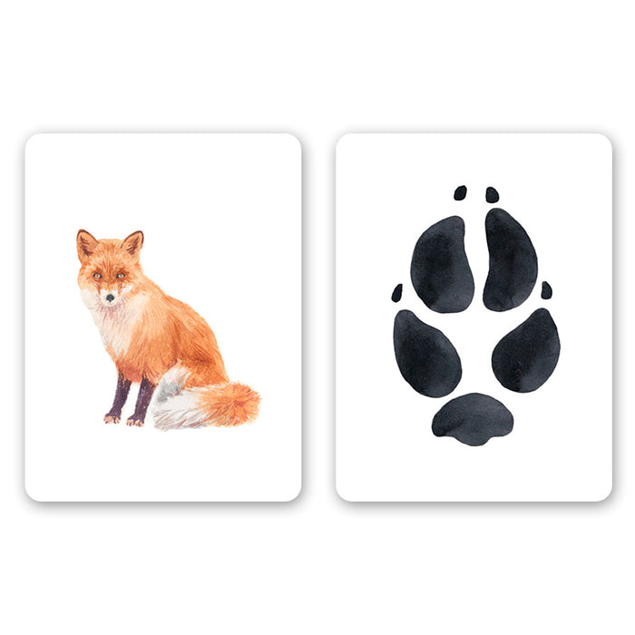 Juego de memoria - "Descubre las huellas cercanas" 🐾