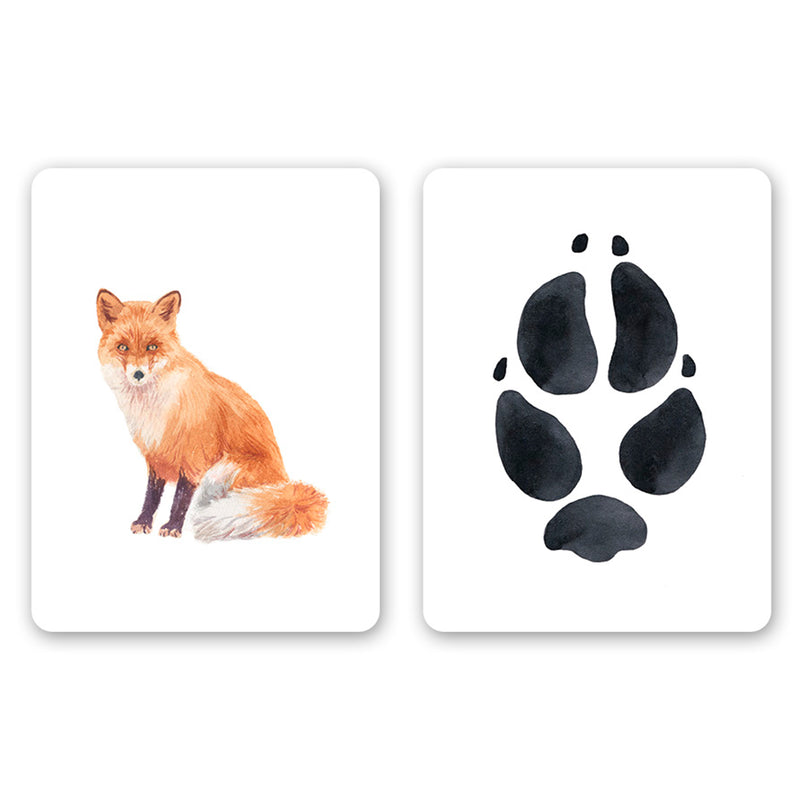 Juego de memoria - "Descubre las huellas cercanas" 🐾