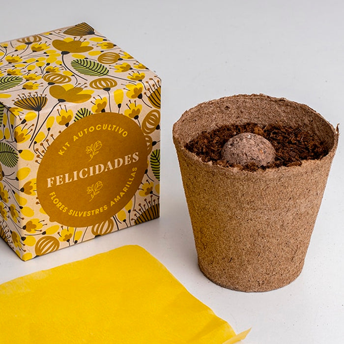 Kit autocultivo - "Felicidades"