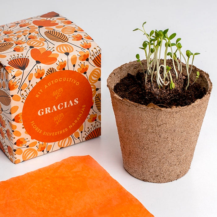 Kit autocultivo - "Gracias"
