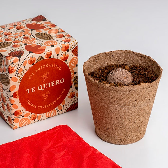 Kit autocultivo - "Te quiero"