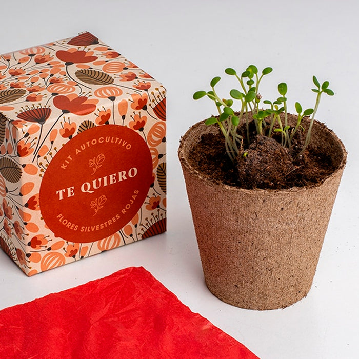 Kit autocultivo - "Te quiero"