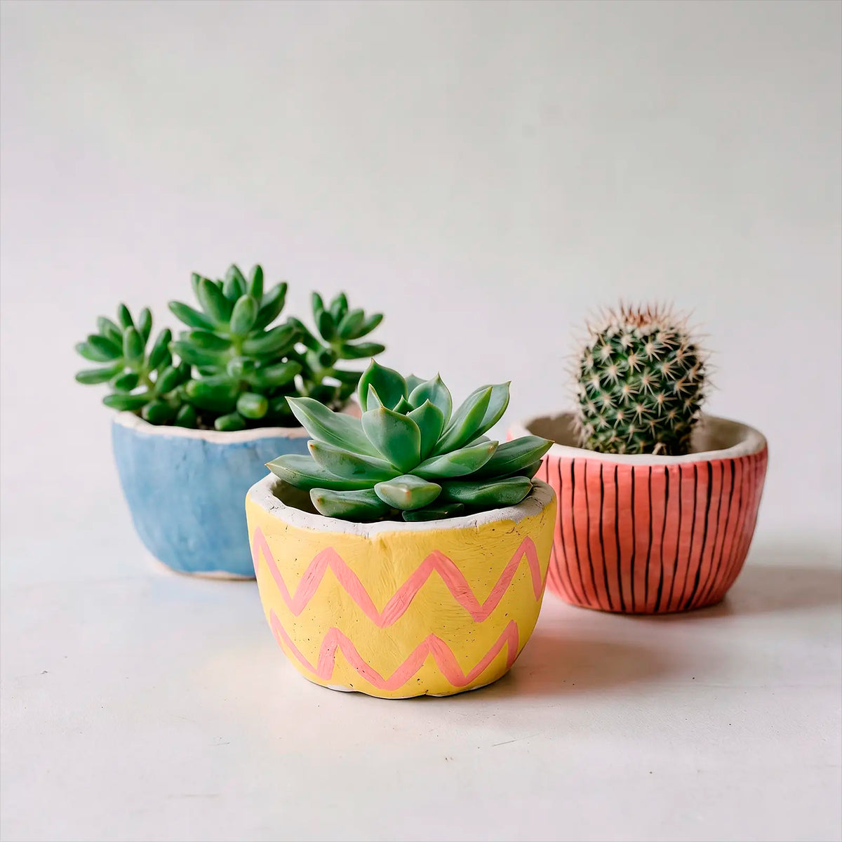 Kit DIY - Haz tus Macetas de Arcilla