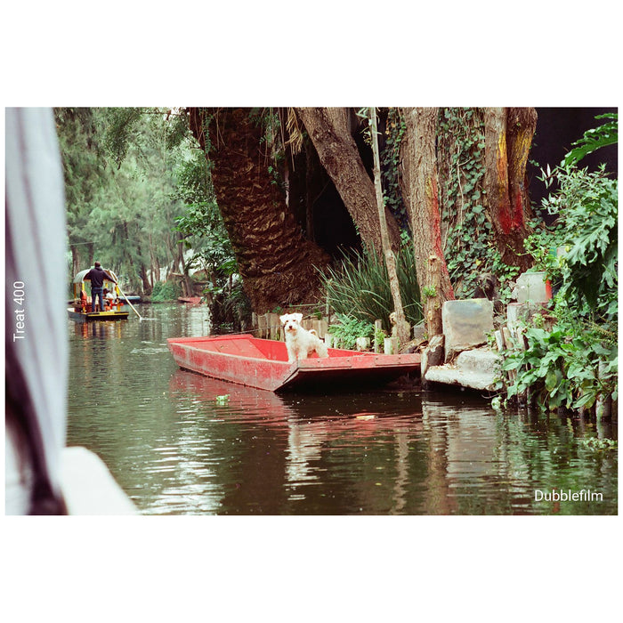 Película - Dubblefilm Treat 400 36Exp.