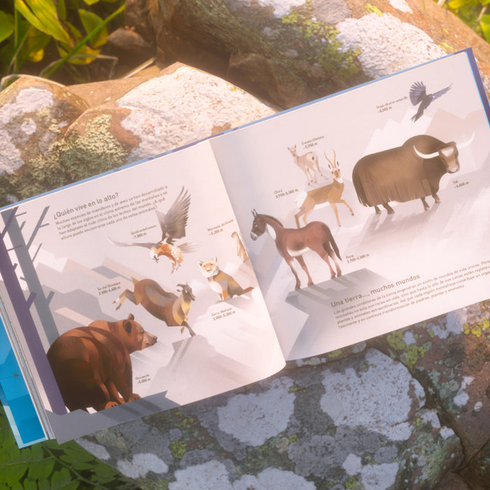 Libro - "El mundo de las montañas" de Dieter Braun