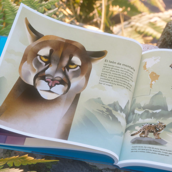 Libro - "El mundo de las montañas" de Dieter Braun