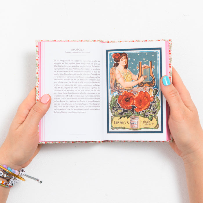 Libro - "El pequeño libro del Lenguaje de las Flores" de Nathalie Chahine