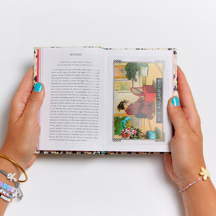 Libro - "El pequeño libro de Japón" de Christine Barrely