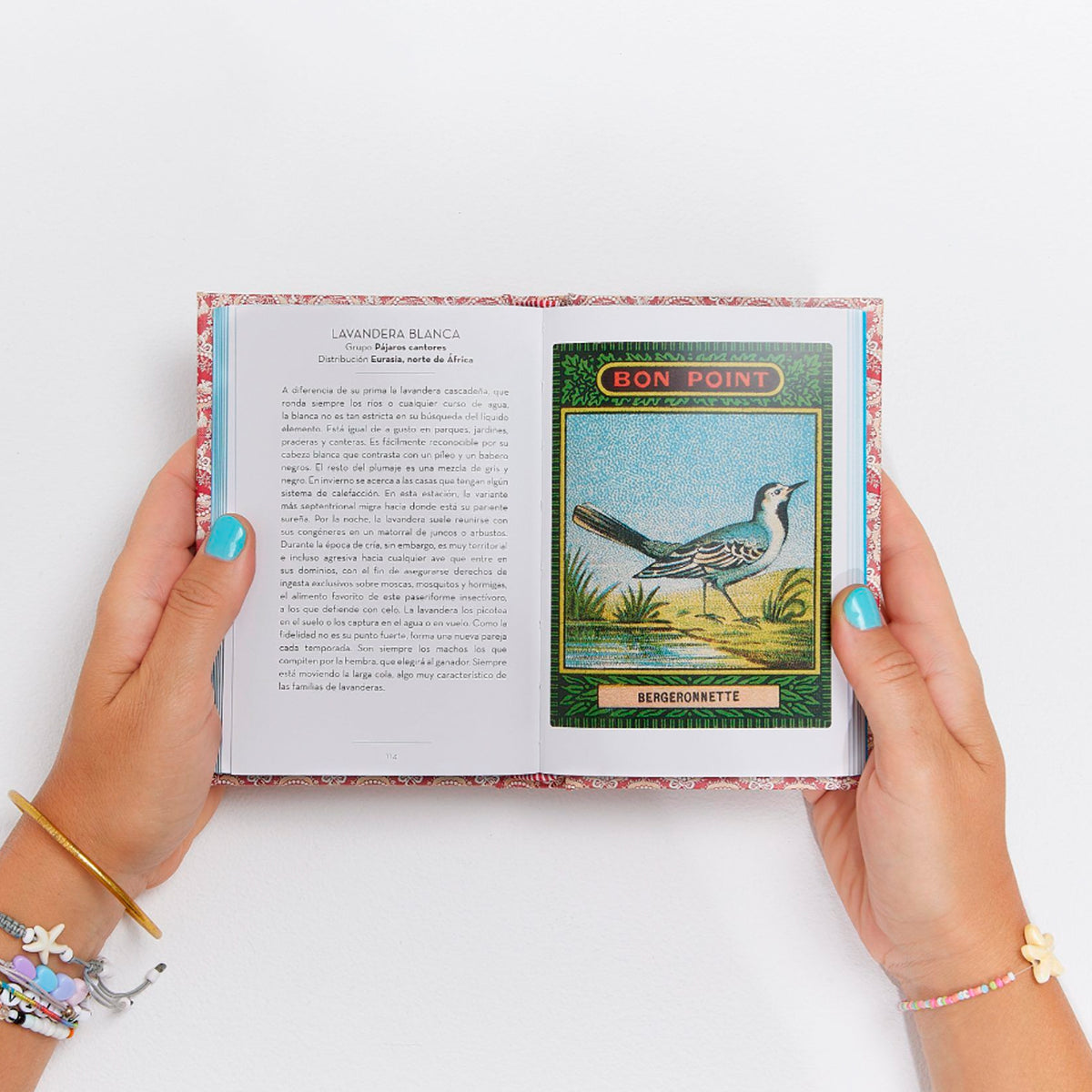 Libro - "El pequeño libro de las Aves" de Anne Jankeliowitch