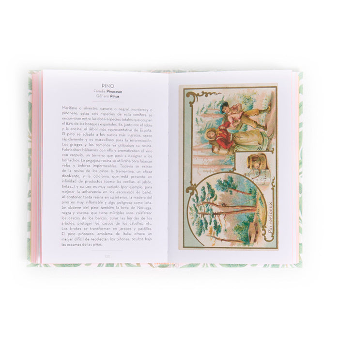 Libro - "El pequeño libro de los Árboles" de Dominique Pen Du