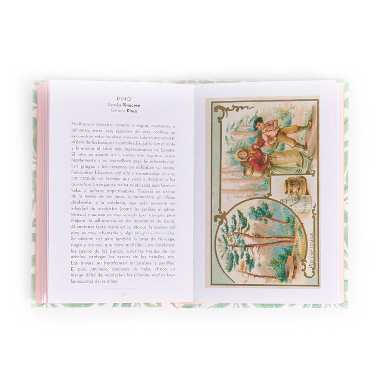 Libro - "El pequeño libro de los Árboles" de Dominique Pen Du