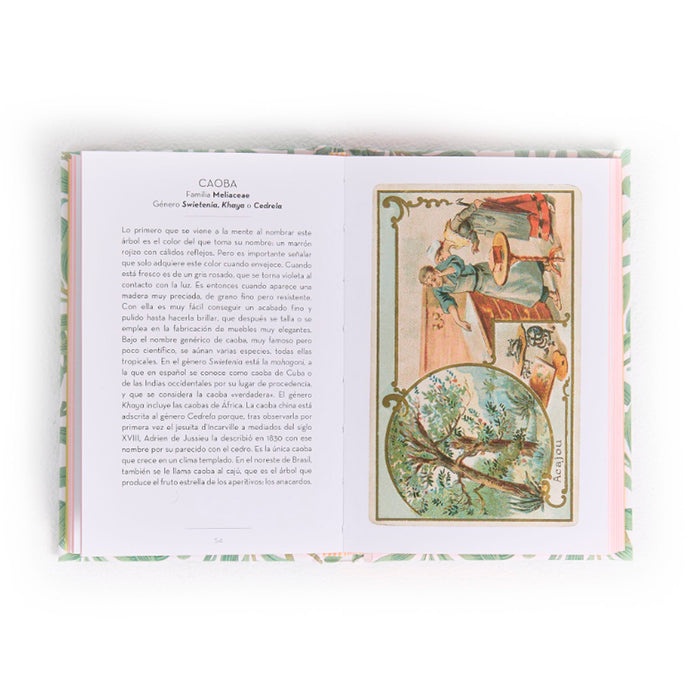 Libro - "El pequeño libro de los Árboles" de Dominique Pen Du