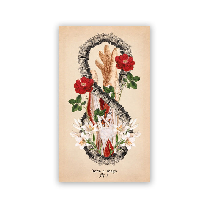 Baraja de Tarot - "El tarot de Anatomía y Botánica Antiguas" de Claire Goodchild