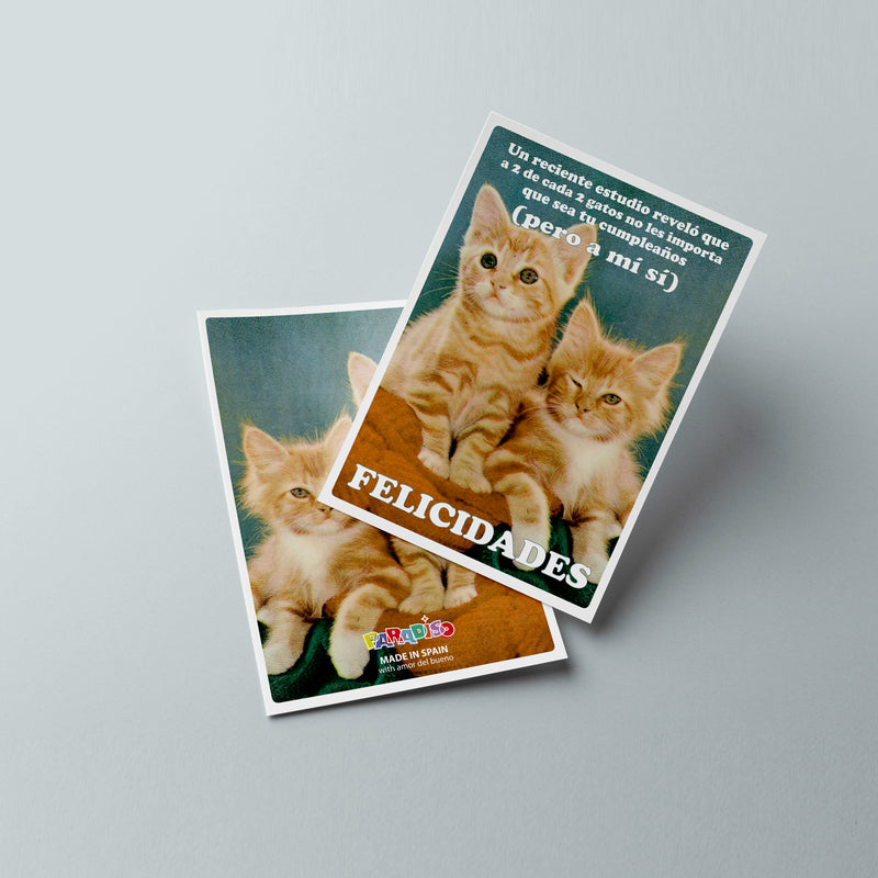 Postal - "Un reciente estudio reveló que a 2 de cada 2 gatos no les importa que sea tu cumpleaños" 🐱
