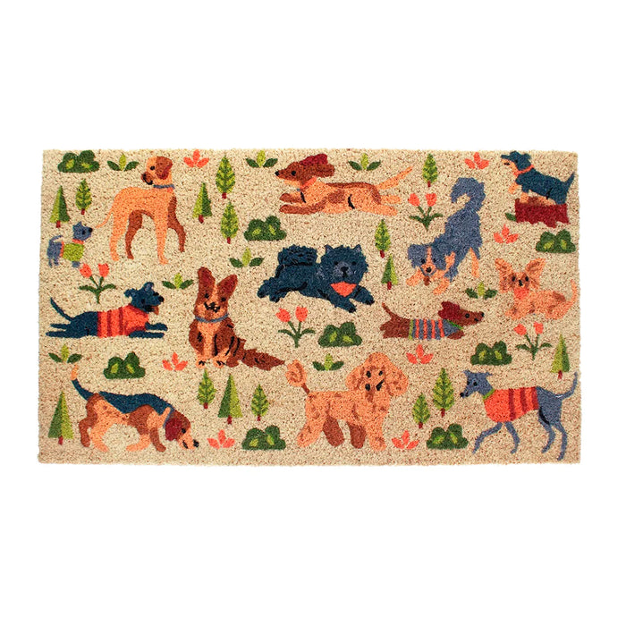 Felpudo - Dog Park 🐶🌳