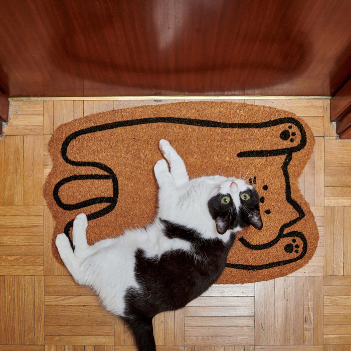 Felpudo - Gato perezoso