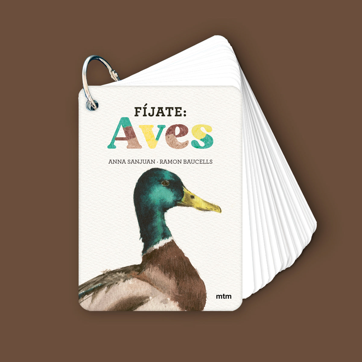Guía - "Fíjate: Aves" de Anna Sanjuan y Ramón Baucells