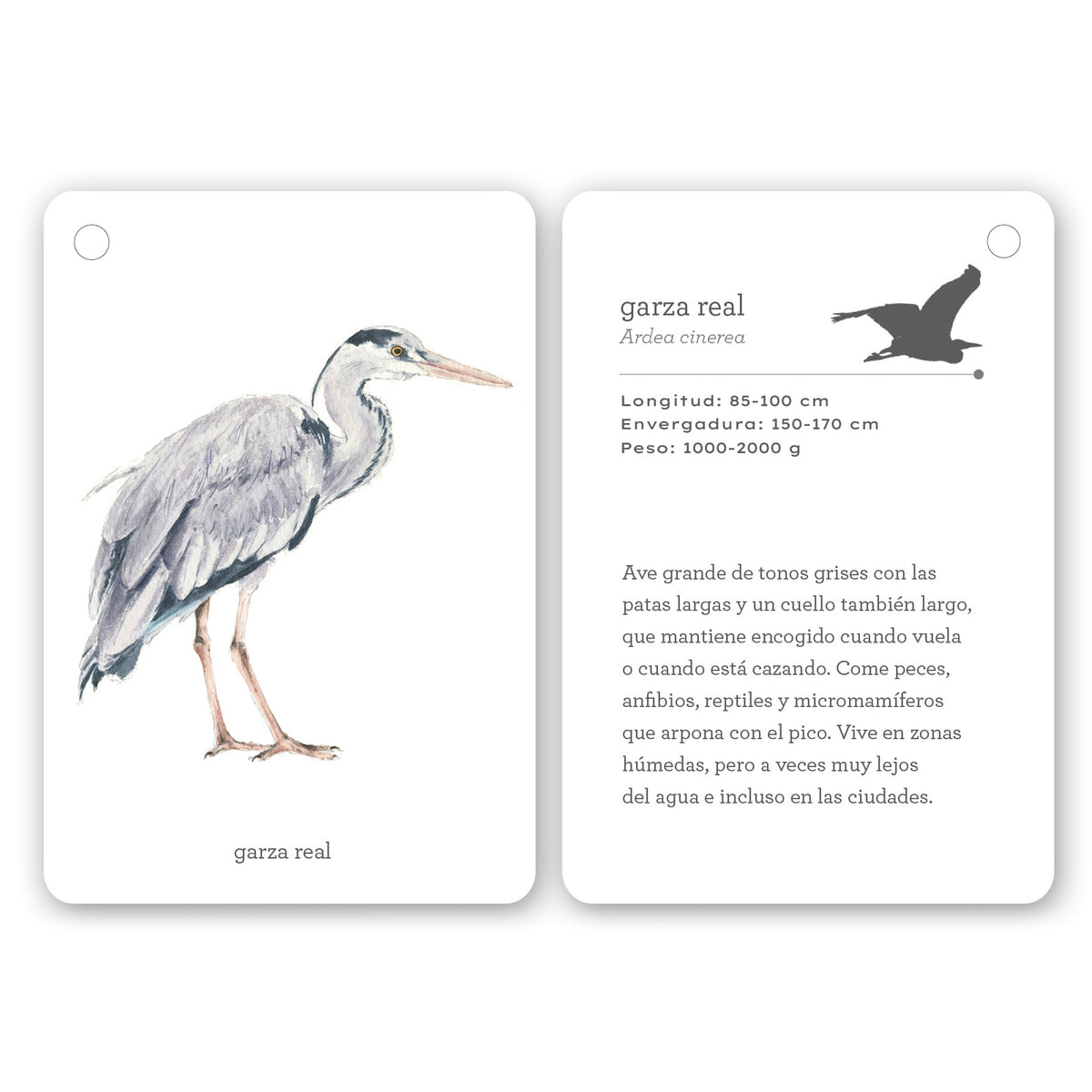 Guía - "Fíjate: Aves" de Anna Sanjuan y Ramón Baucells
