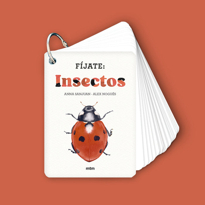 Guía - "Fíjate: Insectos" de Anna Sanjuan y Alex Nogués
