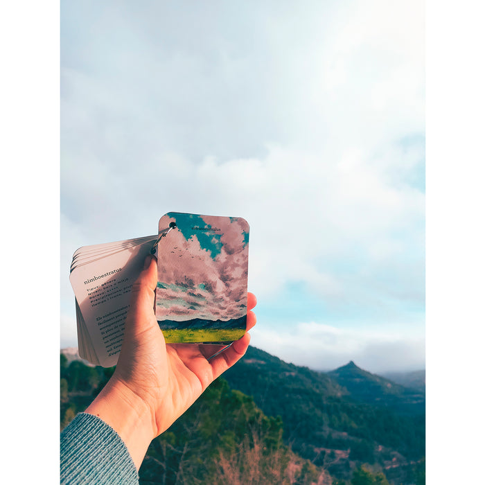 Guía - "Fíjate: Nubes" de Anna Sanjuan