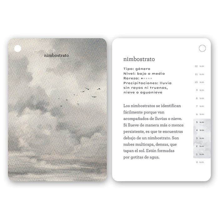 Guía - "Fíjate: Nubes" de Anna Sanjuan