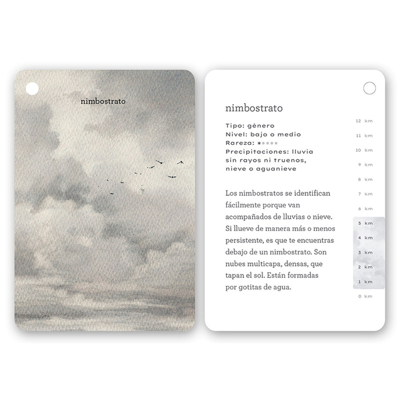 Guía - "Fíjate: Nubes" de Anna Sanjuan