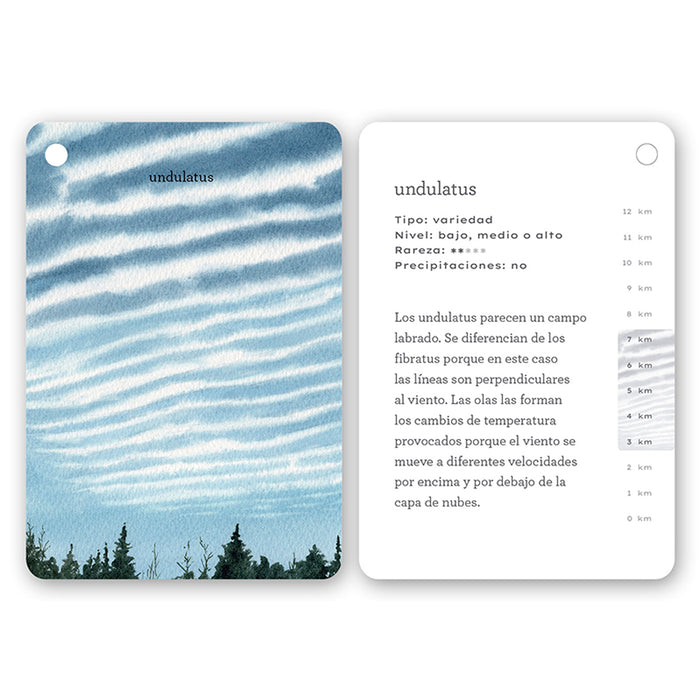 Guía - "Fíjate: Nubes" de Anna Sanjuan