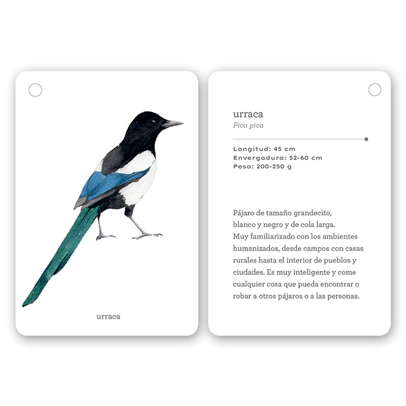 Guía - "Fíjate: Pájaros" de Anna Sanjuan y Ramón Baucells