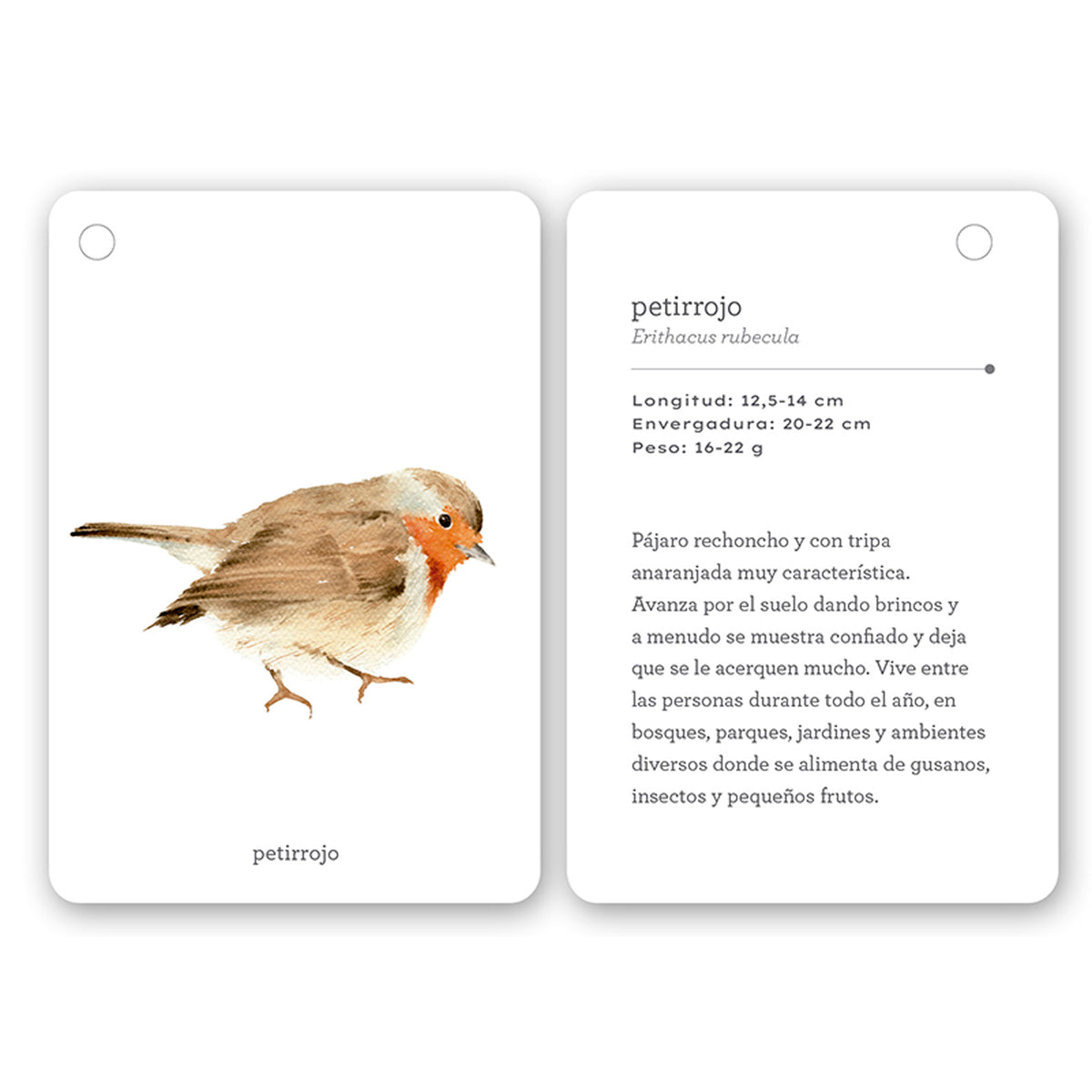 Guía - "Fíjate: Pájaros" de Anna Sanjuan y Ramón Baucells