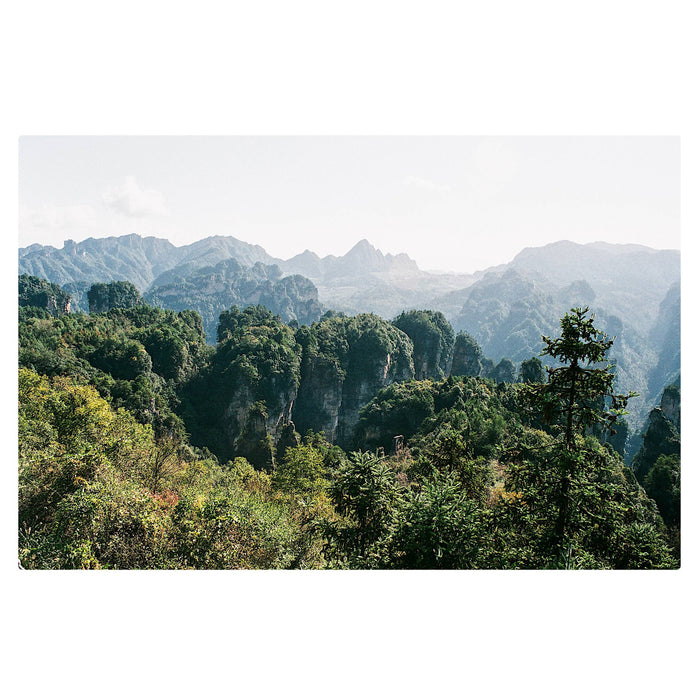 Película - Fujicolor C400 36 Exp.