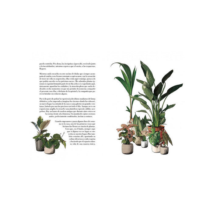 Libro - "Furor Botánico" de Laura Agustí